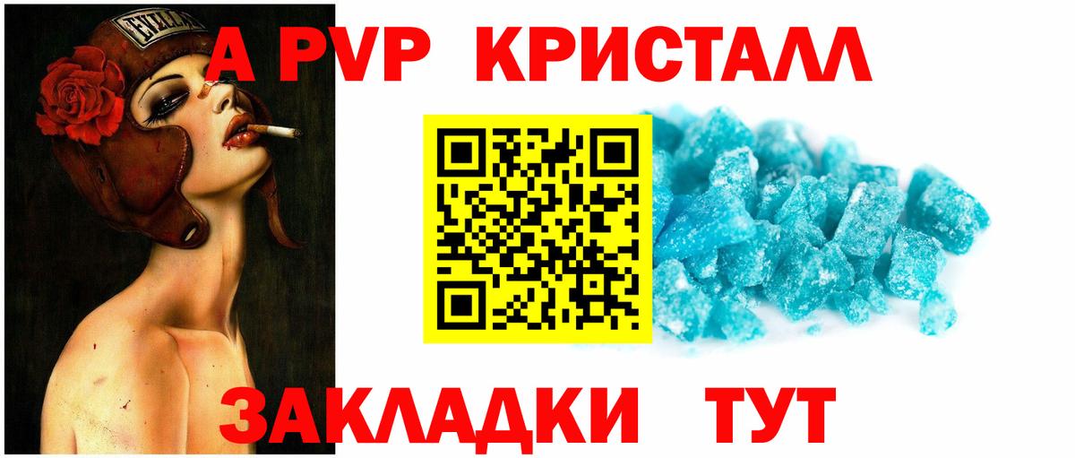A PVP СК КРИС Котлас