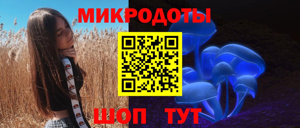Псилоцибиновые грибы Psilocybe Котлас